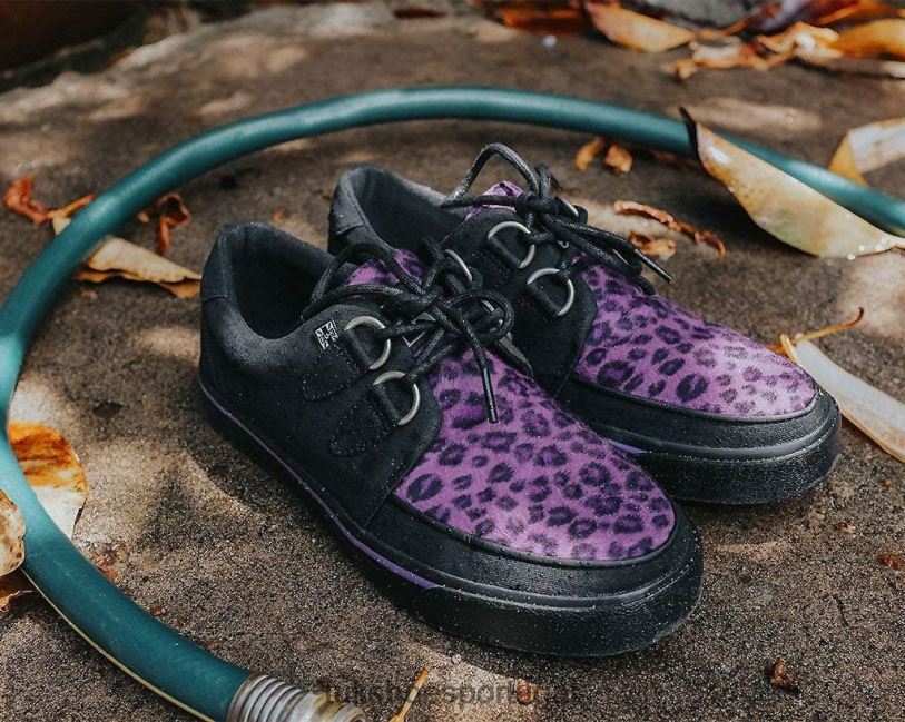 preto/roxo calçados J6V0X266 tênis com argola em leopardo mulheres T.U.K. Footwear