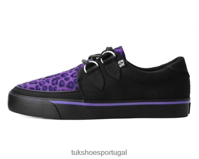 preto/roxo calçados J6V0X266 tênis com argola em leopardo mulheres T.U.K. Footwear